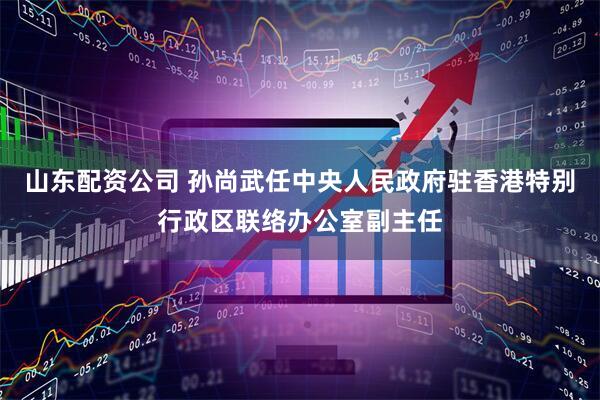山东配资公司 孙尚武任中央人民政府驻香港特别行政区联络办公室副主任